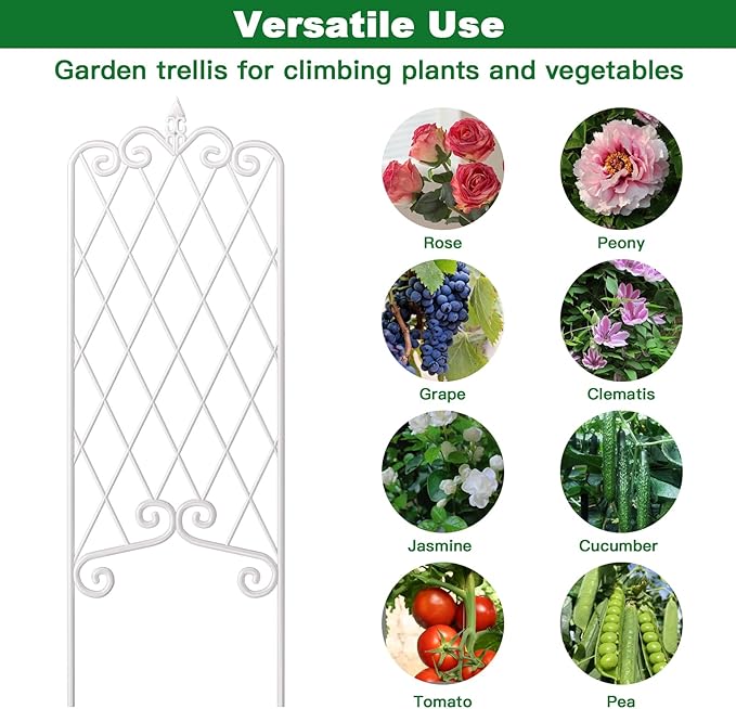 AMAGABELI GARDEN &amp HOME 2 Pack 60” x 18” Garden Trellis for Climbing Plants Outdoor Trellis for Climbing Roses Plant Trellis Vegetables and Flower Vine White Trellis for Ivy Cucumbers