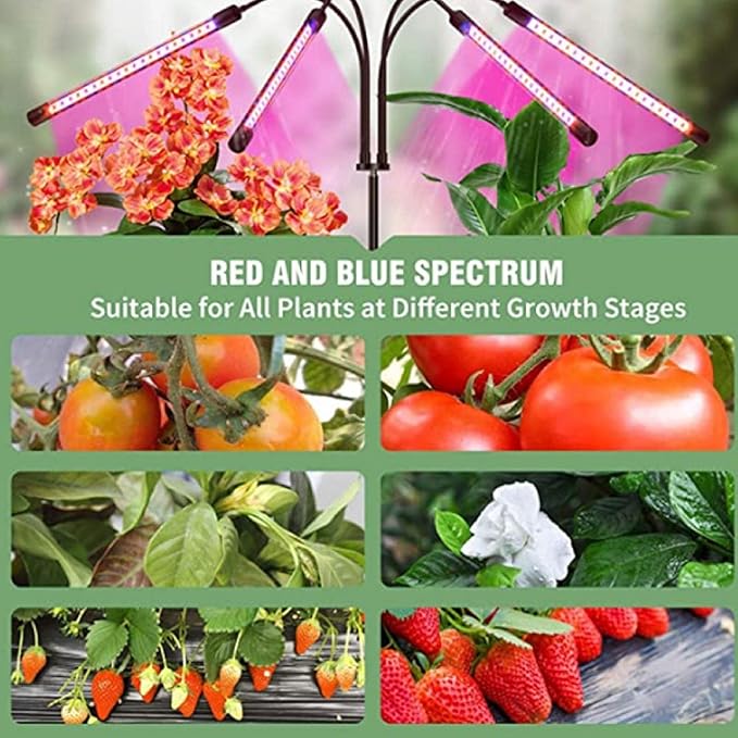 SEIWEI LED Plant Lamps Double Head Grow Light for Indoor Plant Full Spectrum LED Grow Lights with Timer Setting 3/9/12H Auto On&ampOff Flexible Gooseneck (2 Head)