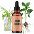 Root Drops - Liquid Rooting Vitamins | Fast Propagation Stronger Roots Less Shock | Works in Water Soil Leca Moss | for All Indoor Houseplants Like Pothos Monstera Philodendron (4 oz)