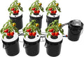 DWC Hydroponic System 5 Gallon 7 Buckets Hydroponic Bucket Kit Hydroponics Grow System Kit with Air Pump &amp Air Stones for Indoor or Outdoor
