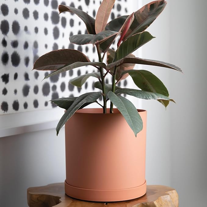 Bloem Mathers 10 Muted Terra Cotta Round Modern Resin Garden Planter Pot with Drainage Holes and Removable Saucer Tray Included