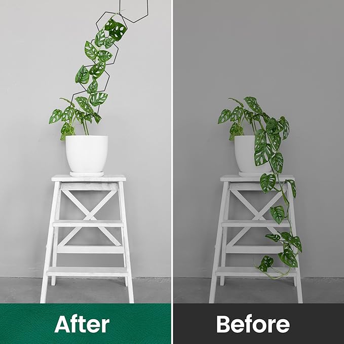 Trellis for Climbing Plants Indoor &amp Outdoor Pothos Plant Climber Support with Connect-Hooks18pcs DIY House Plant Accessories for Ivy Hoya Pothos FlowerGarden Plant Wall Trellis Gift - Hexagons