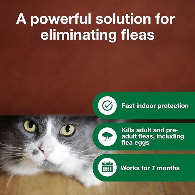 Advantage Household Fogger | Kills Fleas &amp Ticks | Flea Fogger for Home | 2 oz. Canisters (Pack of 3)