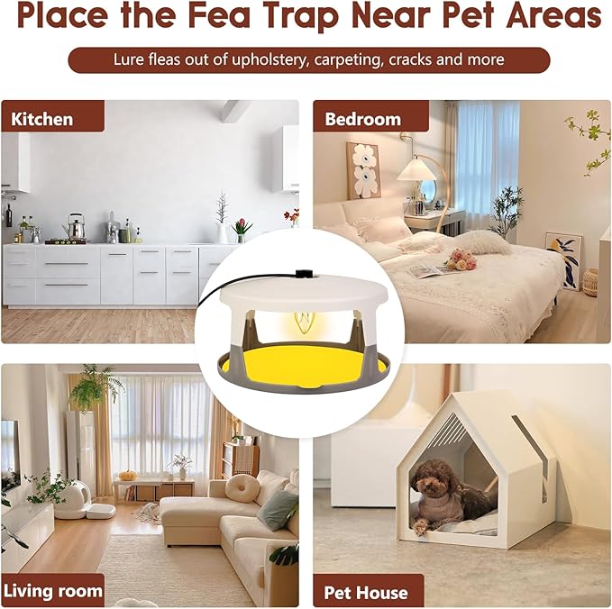 Flea Traps for Inside Your Home 2 Pack Indoor Flea Light Electric Bed Bug Insect Killer with 8 Sticky Pads &amp 8 Light Bulb Replacement Natural Pest Control w/Glue Discs Refills Safe for Kid Pet