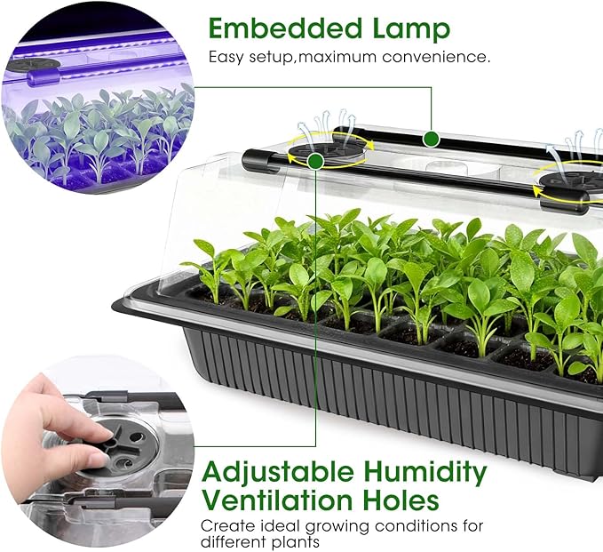 MQUPIN 80-Cell Seed Starter Tray with Grow Light 2-Pack Adjustable Brightness Seed Starter Kit with Humidity DomeSmart TimerWatering SprayerSeederPlant Germination Kit for Seeds Growing