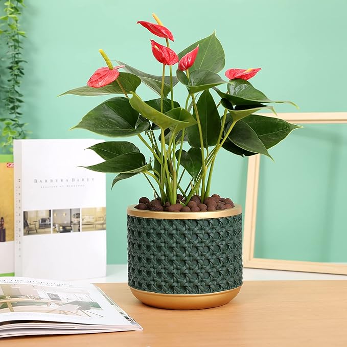 6&amp4.4 Inch Cement Planter Decorative Pots with Drainage Hole for All House Plants Succulents Flowers and Cactus (Gold Green)