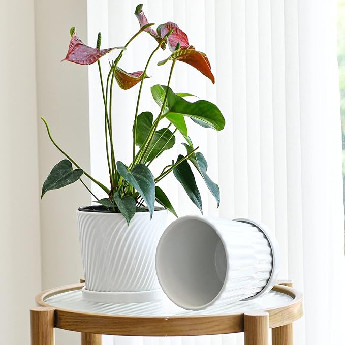 Ton Sin Plant PotsWhite 6 Inch Flower Pots for PlantsCeramic Planter with Drainage HolesIndoor Planter Pots with SaucerOutdoor Garden Pots (White 4 Pack)