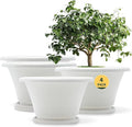Quarut 12 Inch Plant Pot4 Pack Large pots for PlantsFlower Pots with Drainage Hole &amp SaucerModern Planters for Indoor Outdoor PlantsDecorative Resin Garden PotsWhite