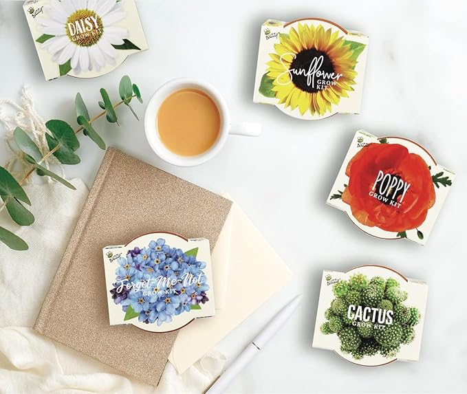 BUZZY Seeds Mini Terracotta Pots 12-Pack with Plant Seeds Poppy Sunflower Daisy Cactus and Forget Me Not All-in-One Seed Starter Kit Indoor Outdoor Gardening Gift Wedding Favors Mother's Day