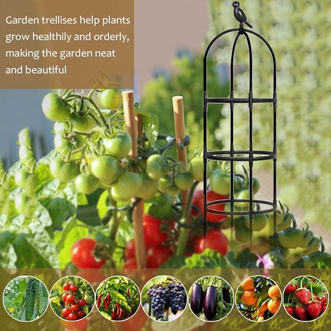 Outdoor Plants Trellis Garden Obelisk Clematis Roses &amp Vegetables Trellis - Plant Cage Flower Shelf for Climbing Plants Roses Vines(Black15.7x49in/40x125cm)