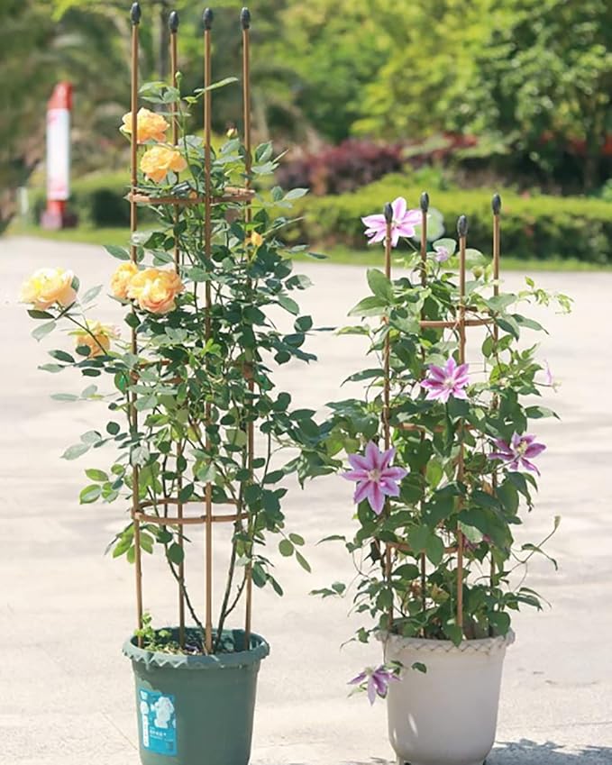 Garden Trellis for Climbing Plants Outdoor24in30in35in47in Tall Tomato Cages for Garden Plant Cages Plant Stake for Flower Vegetable Vines Plant Trellis for Potted PlantsGold ( Size : 7.9/20cm