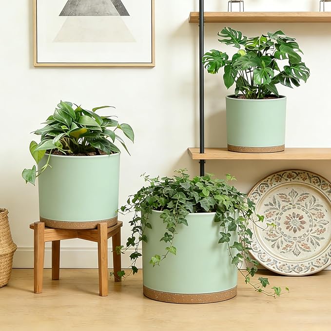 Large Plant Pots Set of 3 – 8 9 10 Indoor Flower Pots with Drainage Holes and Saucers Big Planters for Monstera Fiddle Leaf Fig Snake Plant – 5 Colors