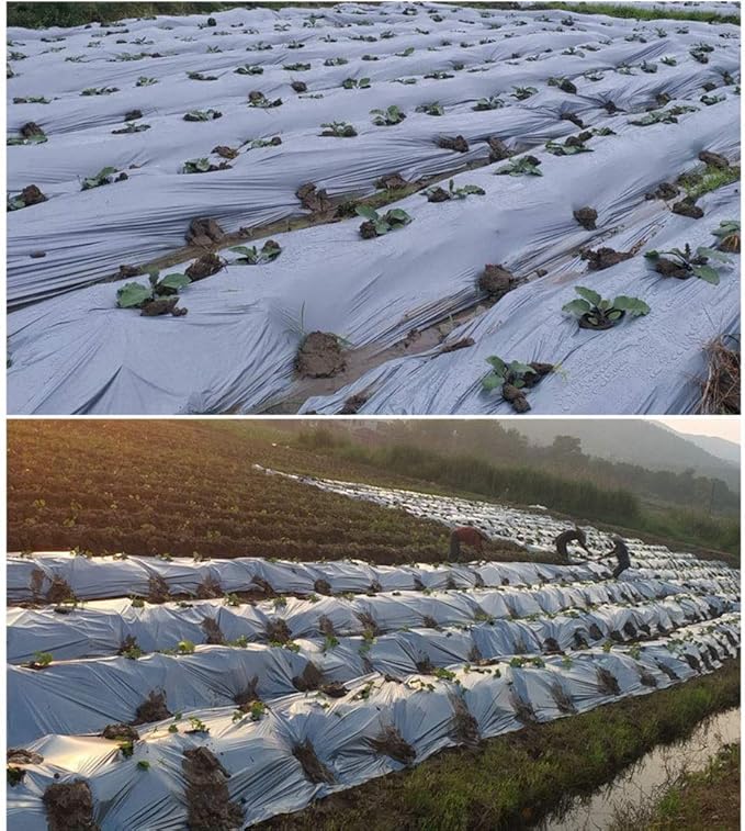 1Pcs 10m Silver Black Plastic Planting Film 0.012mm Thick Agriculture Ground Cover Film Protection Greenhouse Keep Warm Weed Control Mulch Film (Size : 0.8M Width)