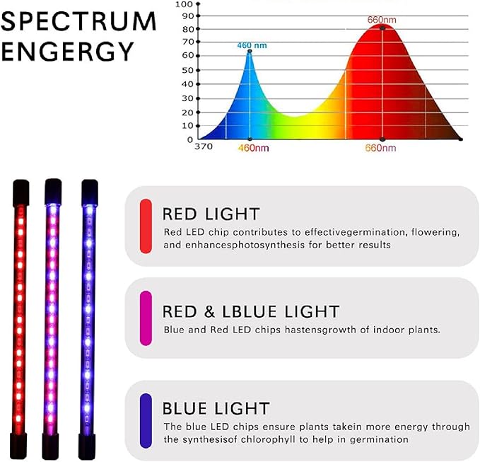 SEIWEI LED Plant Lamps Double Head Grow Light for Indoor Plant Full Spectrum LED Grow Lights with Timer Setting 3/9/12H Auto On&ampOff Flexible Gooseneck (2 Head)
