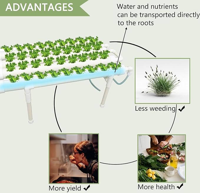 INTBUYING Hydroponics Growing System 36 Holes 4 Pipes 1 Layer Plant Site Grow Kit Hydroponic Gardening System Horizontal with Water Pump Nest Basket Sponge for Leafy Vegetables
