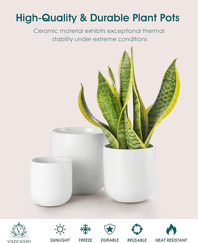 vancasso Ceramic Plant Pots 4+5+6 inches Set of 3 Planters with Drainage Hole Flower Pots Planters Pots for Indoor Plants Modern Indoor Decorative Garden Pot Home Decor White