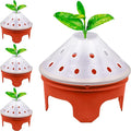Outdoor Germination and Grow Kit with Greenhouse Domes - Direct Water and nutrients to Roots Protect Seeds and Seedlings 4 Sets Red Made in The USA