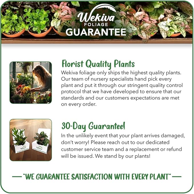 Ponderosa Lemon Tree Growing Soil Mix – 5 Quarts - Custom Soil Blend – Potting Mix for Ponderosa Lemon Trees – Specially Developed by and for Professional Nursery Growers - Nutrient-Rich Formula