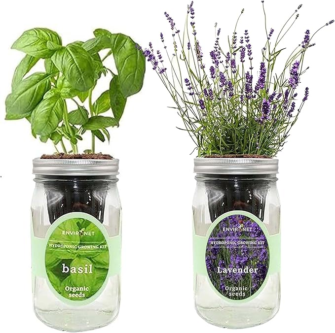 2-Pack Hydroponic Mason Jar Herb Garden Kit Indoor Herb Garden Self-Watering Starter Kit (BasilLavender)