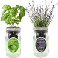 2-Pack Hydroponic Mason Jar Herb Garden Kit Indoor Herb Garden Self-Watering Starter Kit (BasilLavender)