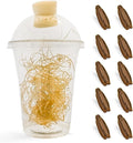 Carolina Praying Mantis Egg Cases Hatching Habitat Cup (Ten Egg Cases) - Beneficial for Stem Education and Gardening Approximately 50 to 200 Baby Nymphs Praying mantises