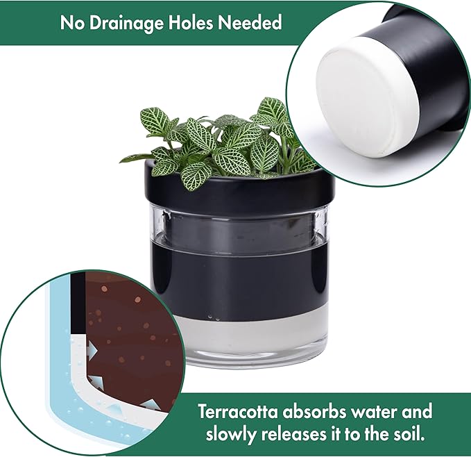 Phoenix Vine 4 Inch Self Watering Planter Pot Black Terracotta Clay Pot with Glass Reservoir for Indoor Plants Herbs Flowers Set of 2 52-C-E-2