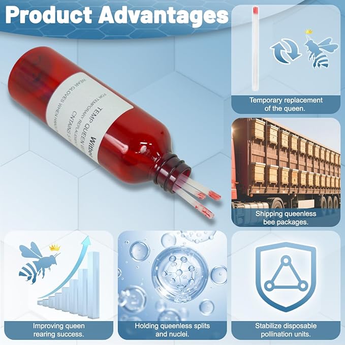 Temp Queen with QMP Queen Pheromone for Improve Queen Rearing Success Temporary Queen Replacement Ship Queenless Packages Holding Queenless Splits and Nuclei 5pcs