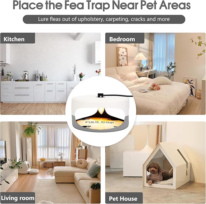 Flea Traps for Inside Your Home 4 Pack Original Indoor Flea Light Bed Bug Killer w/ 12 Sticky Pads &amp 12 Light Bulb Refills Replacement Odorless Insect Infestation Treatment Trap Lamp for Kid Pet