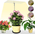 Vegetation Grow Light Height Adjustable Vegetation Growing Lamp for Indoor Dimmable Brightness Full Spectrum Grow Light Bright Easy to Install LED Light with Auto On/Off Timer 4/8/12H (Style 02)