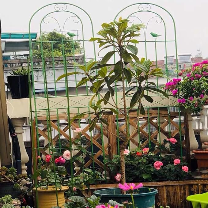 LTSRLL Large Metal Garden Trellis Plant Screen - Indoor Outdoor Flower Stand Rose Trellis - Rustproof/Weatherproof/Easy to Assemble(Green200x50cm)