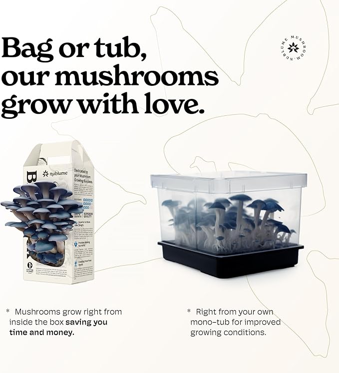 BloomBox Blue Oyster Mushroom Grow Kit – Ready to Fruit Indoor Gardening Gift – Organic Spawn Log for Fresh Fungi in 10 Days – Unique DIY STEM Science Project for Kids &amp Adults – Vegan Meat Substi