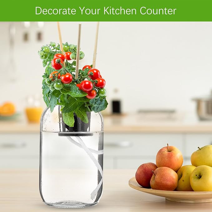 6 Set Hydroponic Mason Garden Jar Kit Self Watering Herb Hydroponic Planter Starter Kit with Net Pot Garden Flower Plant Growing Gift for Indoor Herbs Windowsill Gardening