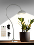 GLOWRIUM Smart Grow Lights for Indoor Plants10W Full Spectrum LED Plant Light with 3/9/12 Timer10 Dimmable LevelsHeight Adjustable Grow Light with Base (White)
