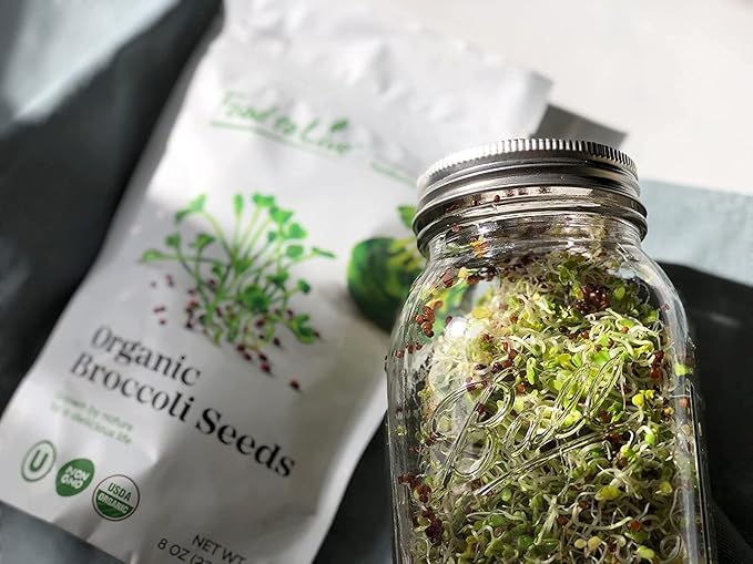 Food to Live Organic Broccoli Seeds for Sprouting 10 Pounds – Non-GMO Vegan Kosher Sirtfood Bulk. Rich in Sulforaphane Vitamin C. Grow Sprouts Microgreens for Salads and Sandwiches