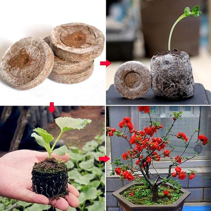 100 Pcs Seedling Soil Block 30mm Peat Pellets Seeds Plant Starting Plugs Compressed Nutrient Fertilizer Fiber Soil Block Seed Fertilizer Nutrient Block Peat Block for Grow Herbs Plant Flowers(#1)