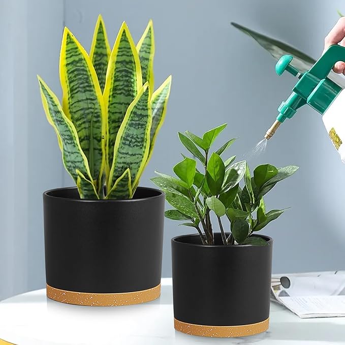 Large Plant Pots Set of 3 – 8 9 10 Indoor Flower Pots with Drainage Holes and Saucers Big Planters for Monstera Fiddle Leaf Fig Snake Plant – 5 Colors