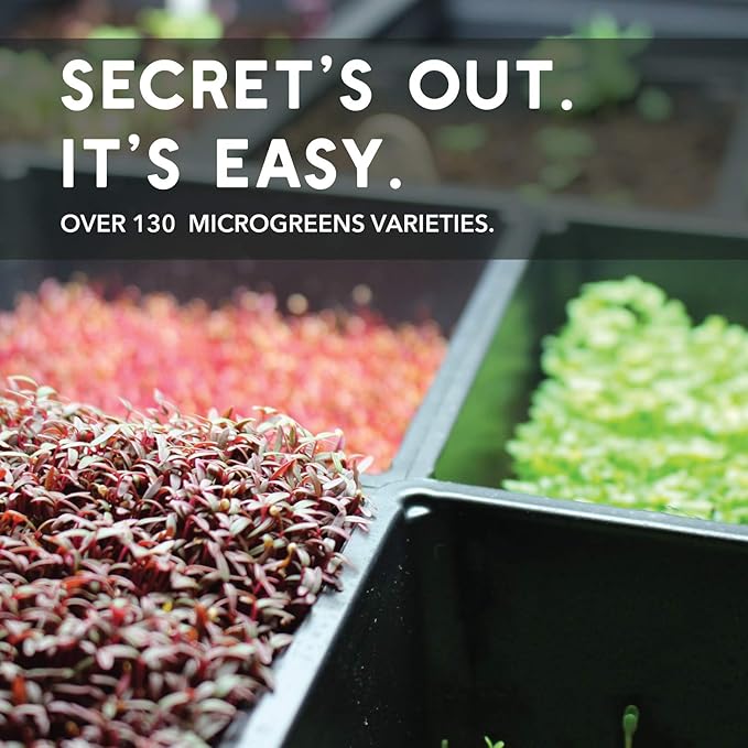 Red Cabbage Microgreens Seeds - 5 Lb ~544000 Seeds - High Germination Premium Non-GMO Seeds for Growing Red Cabbage Micro Greens