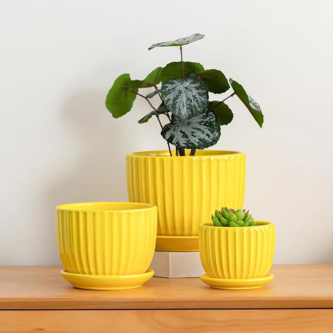 Ton Sin Ceramic Flower PotsYellow Plant Pots for Indoor Plants4.1+5.1+6.5 inch Ceramic Plant Pots with TrayMedium Indoor Planters for Aloe Cactus Decorative Pots with Drainage Hole (Set of 3)
