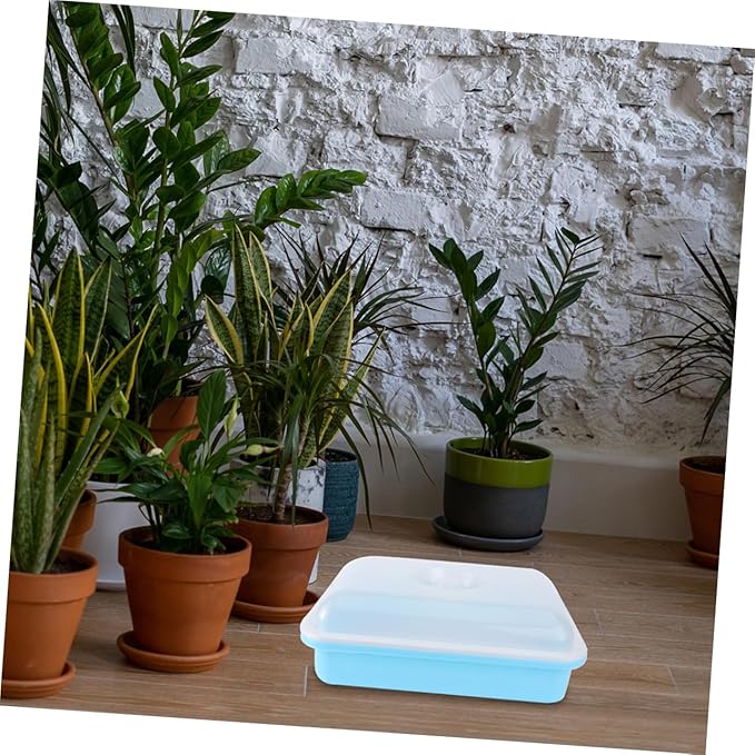 POPETPOP 2sets Seed Sprouter Tray Lid Microgreens Growing Trays for Garden Starter