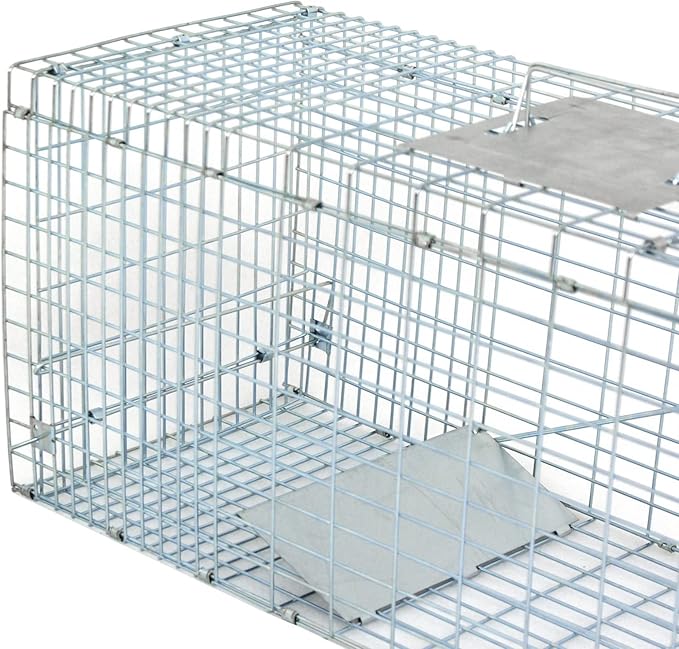 32 x 12 x 12.5 Large Humane Live Animal Trap - 1-Door Solid Steel Catch &amp Release Cage for Raccoons Rabbits Stray Cats Squirrels Groundhogs Opossums Armadillos