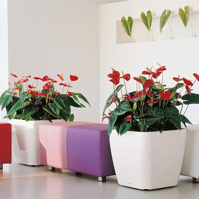 Lechuza Quadro LS 50 Scarlet Red High Gloss Self-Watering Large Square Planter H18.5 L19.7 W19.7 in