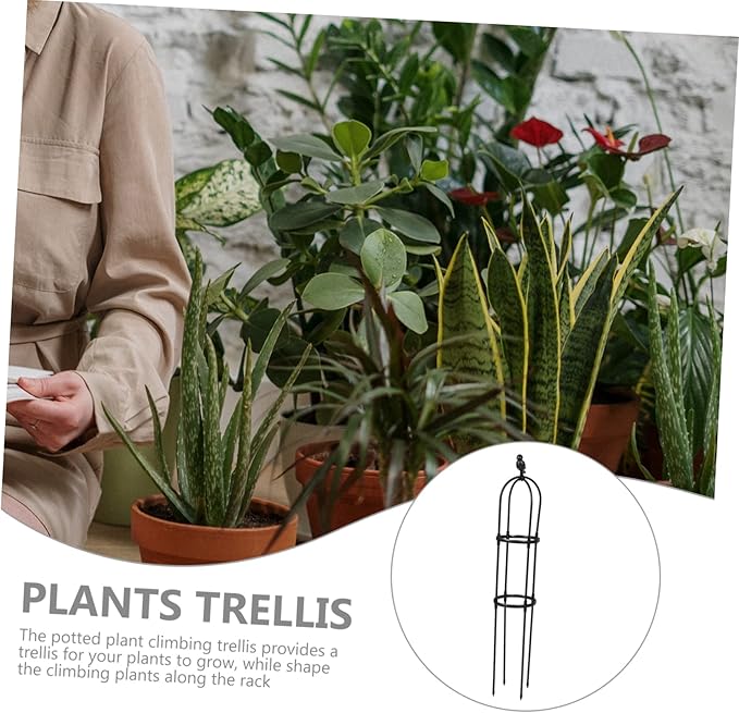 BESPORTBLE Elegant Plant Stakes for Climbing Vines Garden Trellis Strong Support for Potted Plants