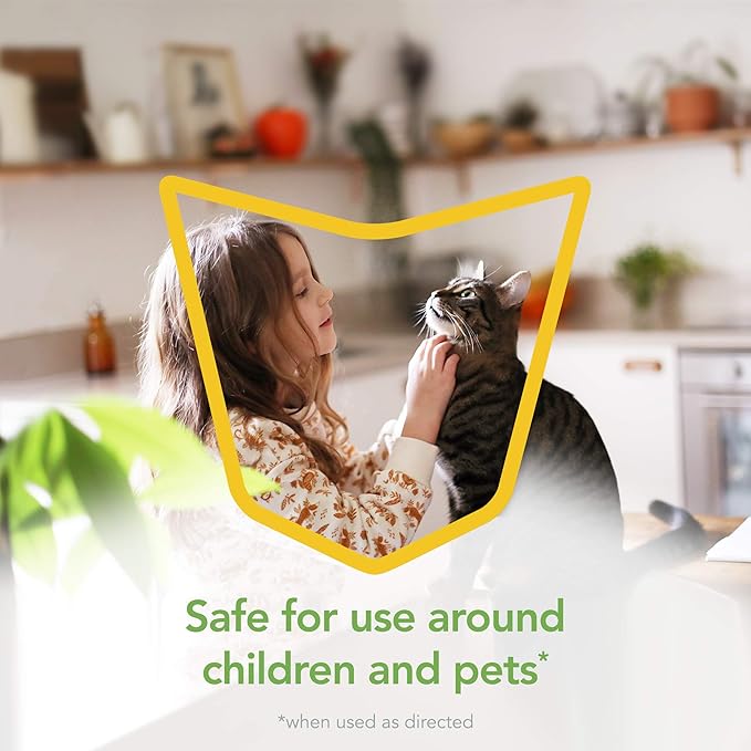Raid Essentials Multi-Insect Killer Spray Bottle Child &amp Pet Safe for Indoor Use 12 oz (Pack of 3)
