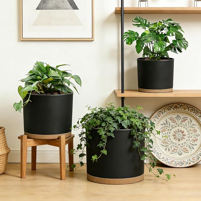 Large Plant Pots Set of 3 – 8 9 10 Indoor Flower Pots with Drainage Holes and Saucers Big Planters for Monstera Fiddle Leaf Fig Snake Plant – 5 Colors