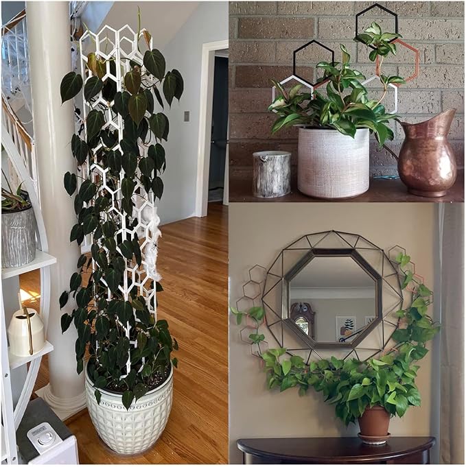 Hexagon Trellis for Climbing Plants Outdoor - Stackable 14 Tall Trellis for Indoor Potted Plants - Starter Pack 2.0 Modular System Houseplant Trellis - 50pcs Starter Set (Green Tea)