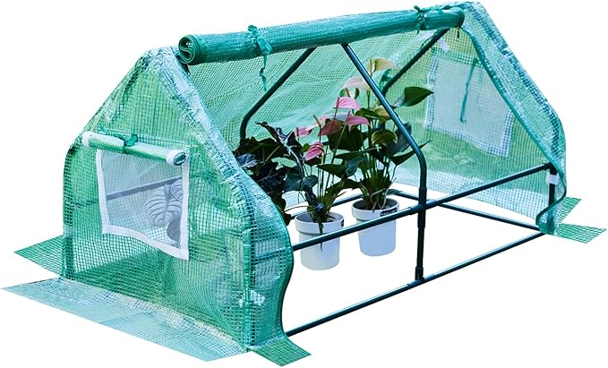 47.2 L × 23.6 W × 23.6 H Mini Greenhouse for Indoor OutdoorPortable Mini Greenhouse Heavy-Duty PE Plant Cover Tent  Tabletop Greenhouse for Small Plants Seedling Humidity Dome Green