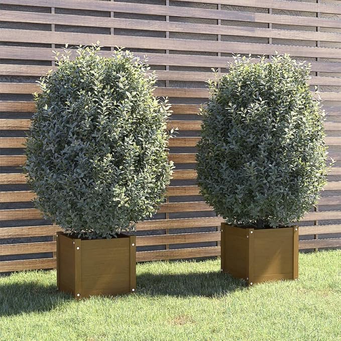Honey Brown Solid Pinewood Planter Set of 2 Square 15.7 inch Outdoor Garden Planters for Patio Balcony Deck