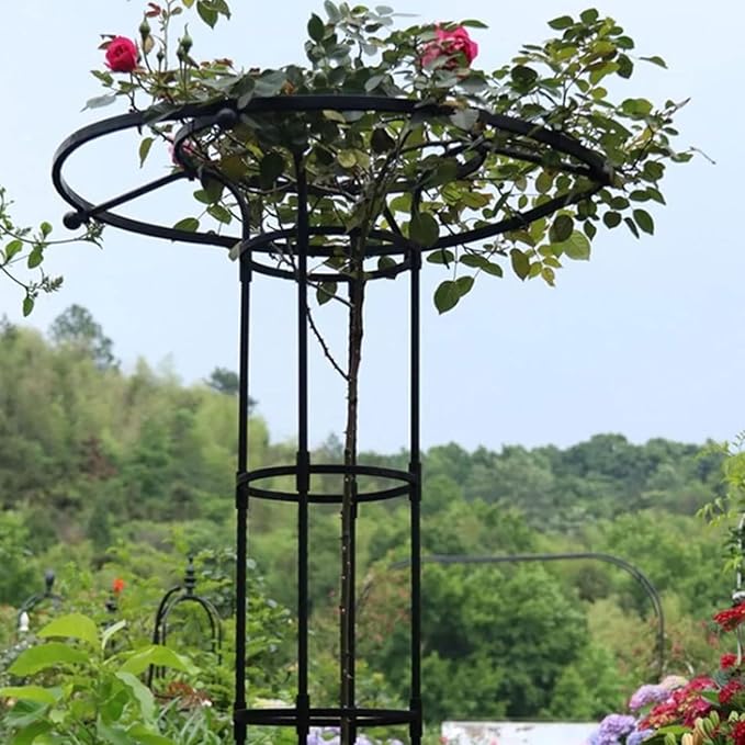 Vertical Umbrella Trellis for Climbing Plants and Flowers Rustproof Vertical Garden Trellis Wisteria Trellis Outdoor Flower Support Cage Climbing Stand Rack for Vines Rose(White180CM/70.9in)