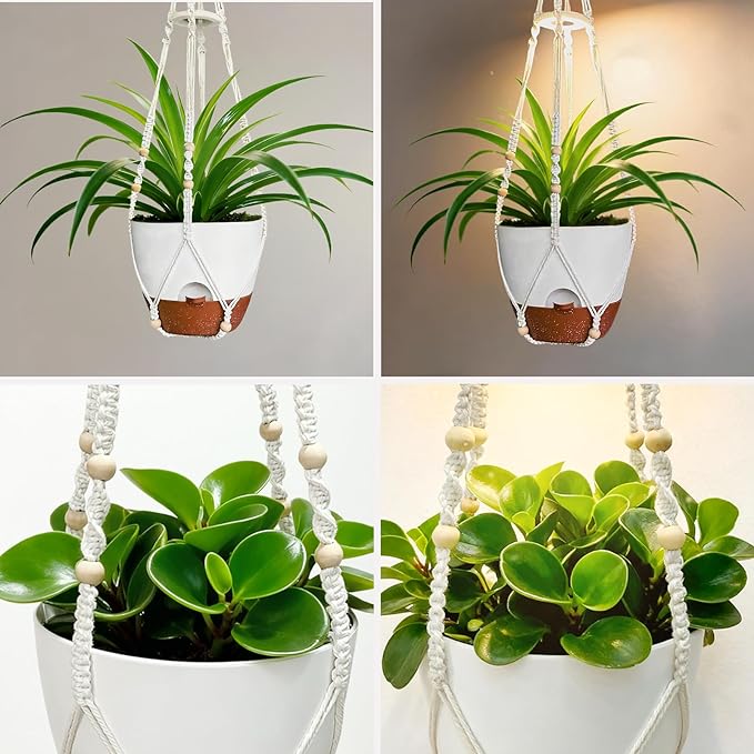 2 Pack Hanging Planters with Grow Light for Indoor Plants 10” Self Watering Pots for Apartments &amp Low-Light Rooms Macrame Hangers Timer Drainage Holes &amp Removable Tray