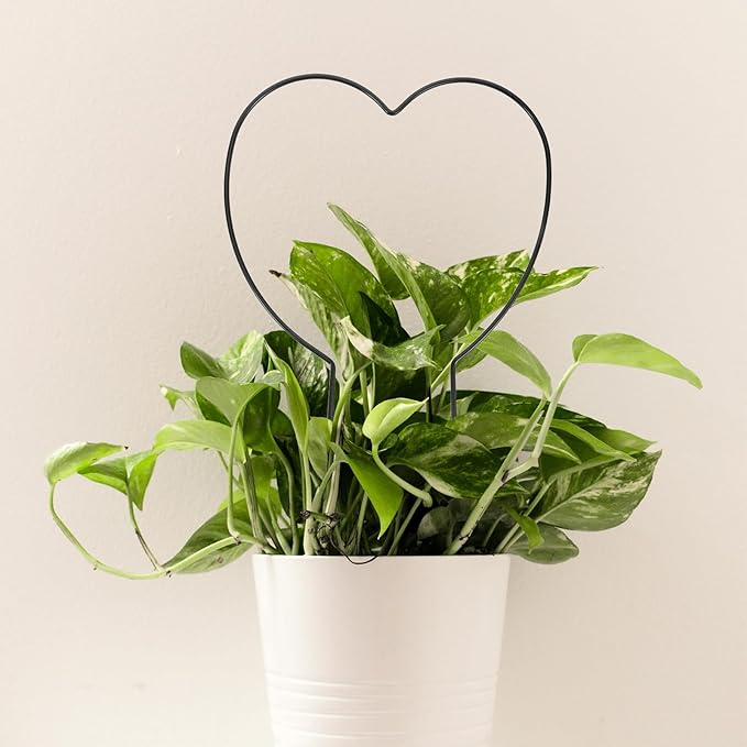 Kisangel 4pcs Iron Heart-Shaped Climbing Plant Trellis for Garden and Indoor Use 4mm Metal Vine Support Frame Stem Flower Holder for Potted Plants and Outdoor Vines